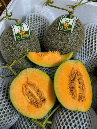 Dưa lưới Dưa  lưới mật giòn ngọt