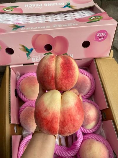 Đào Đào bắc kinh giòn ngọt