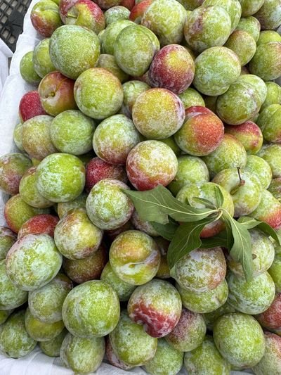 Mận Mận xanh róc hạt giòn ngọt