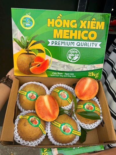 Sapo Hồng xiêm mêhico ngọt thơm