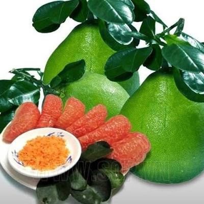 Bưởi hữu cơ