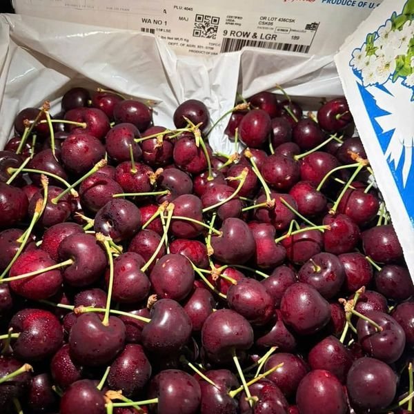 Cherry