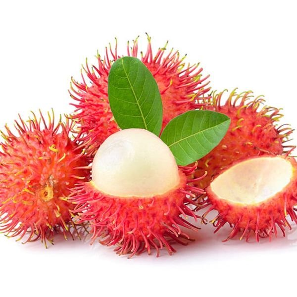 Chôm chôm — ảnh minh hoạ 1