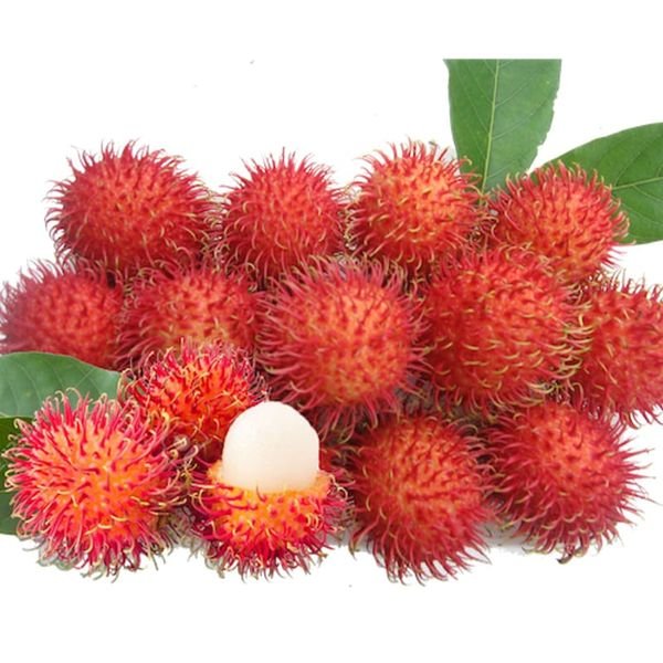 Chôm chôm — ảnh minh hoạ 2