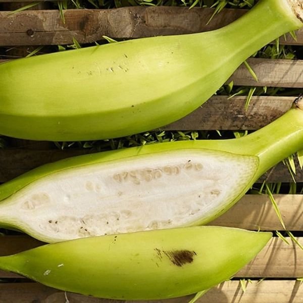 Chuối hột chát — ảnh minh hoạ 1