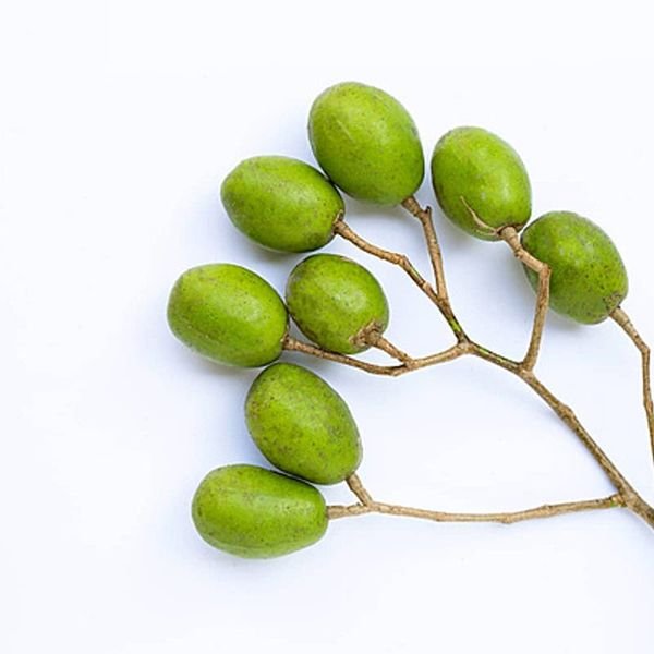 Cóc — ảnh minh hoạ 1