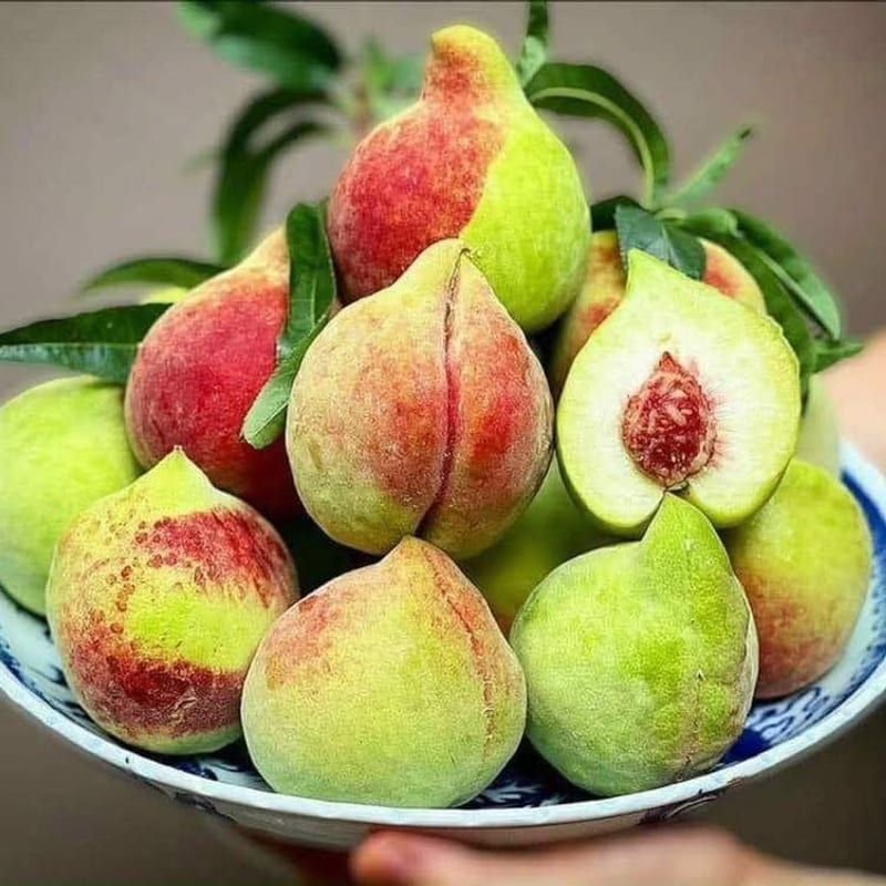 Đào