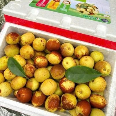 Hồng táo tàu loại 1