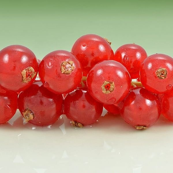 Lý chua đen — ảnh minh hoạ 2
