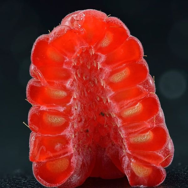 Mâm xôi rừng — ảnh minh hoạ 3
