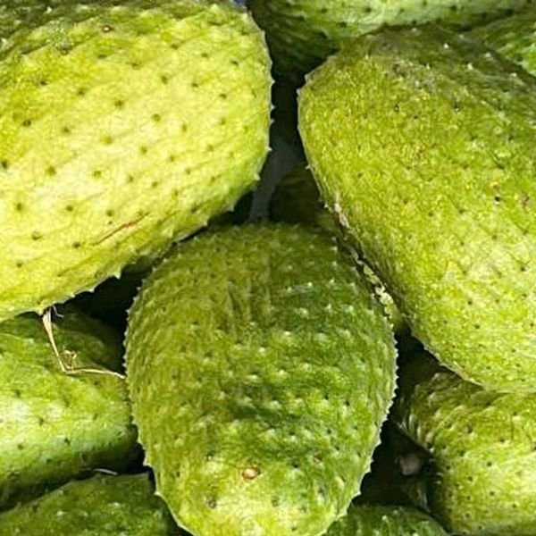 Mãng cầu ta — ảnh minh hoạ 2