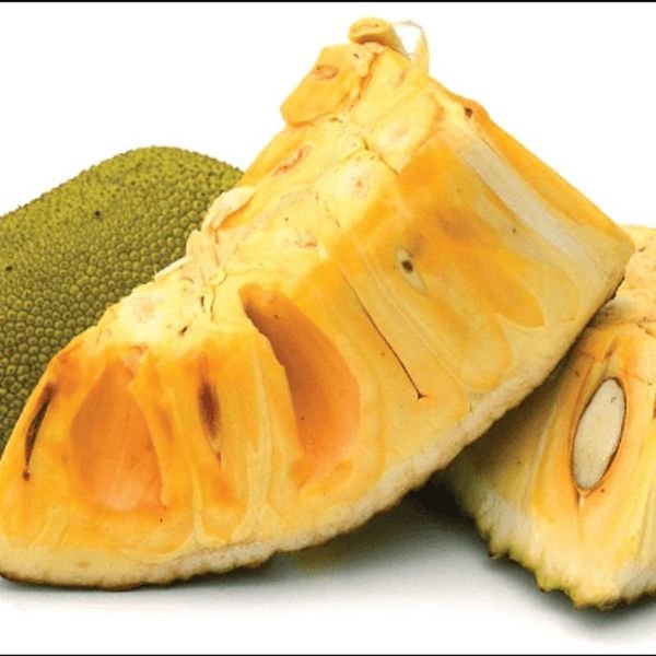 Mít — ảnh minh hoạ 2