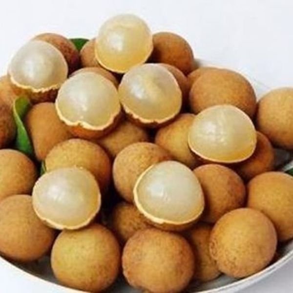 Nhãn — ảnh minh hoạ 1