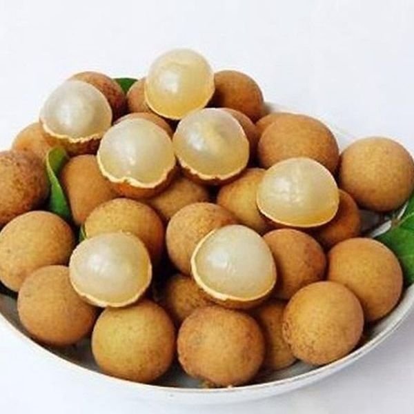Nhãn — ảnh minh hoạ 2