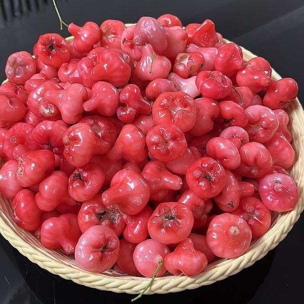 Roi — ảnh minh hoạ 3