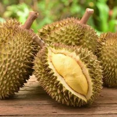 Sầu riêng loại 1