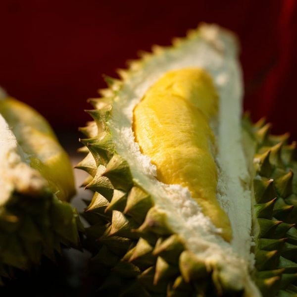 Sầu riêng — ảnh minh hoạ 2