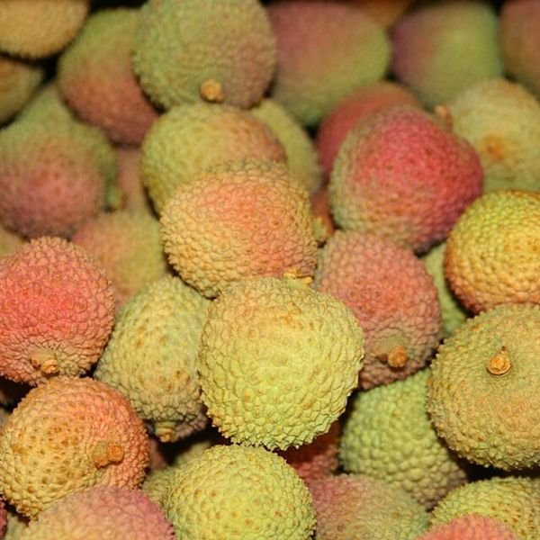 Vải — ảnh minh hoạ 3