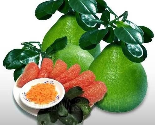 Bưởi da xanh ruột hồng