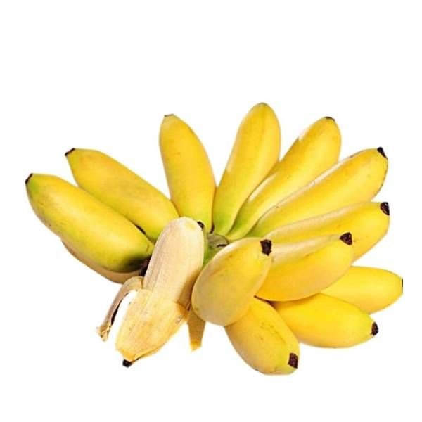 Chuối ngự