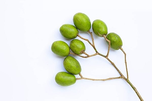 Cóc bao tử