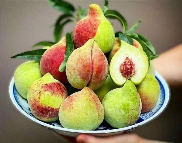 Đào mỏ quạ