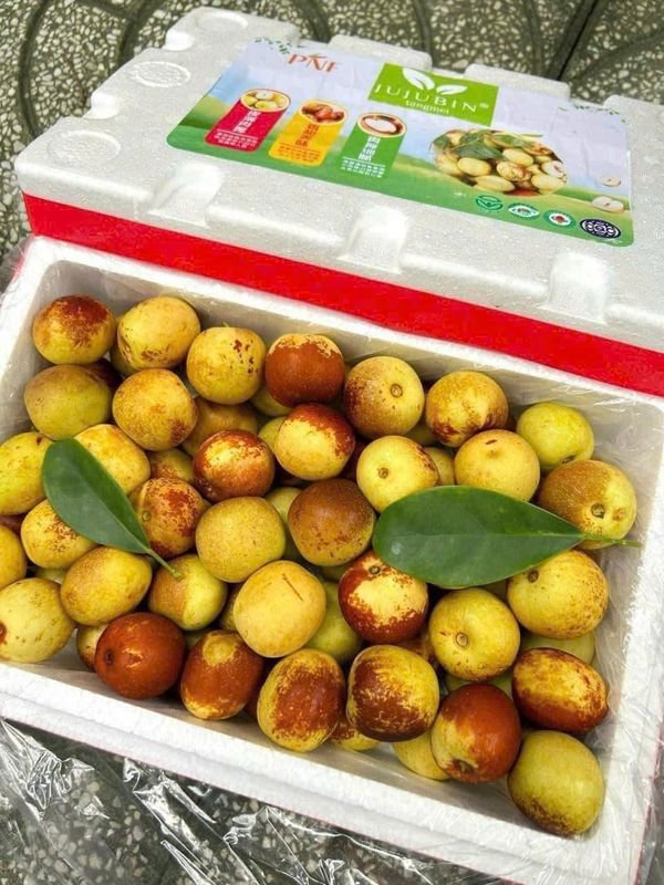 Hồng táo tàu