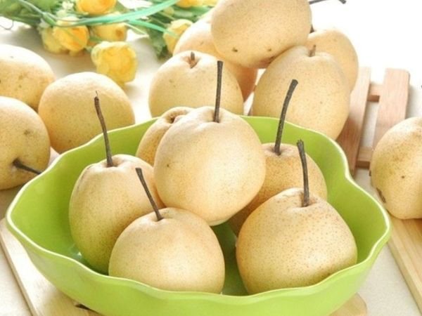 Lê Việt Nam