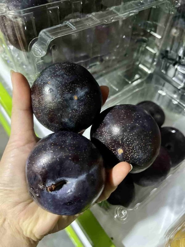 Mận đen Úc