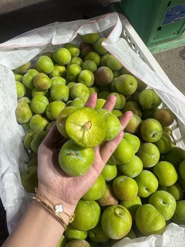 Mận xanh róc hạt