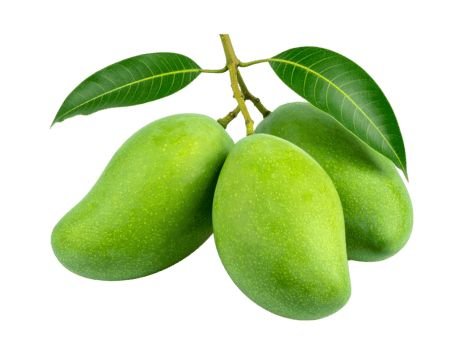 Xoài