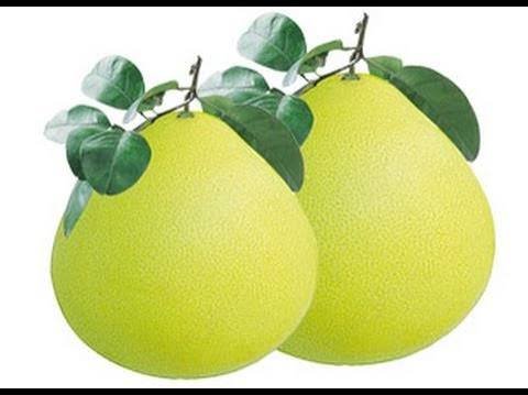 Giàu Vitamin C